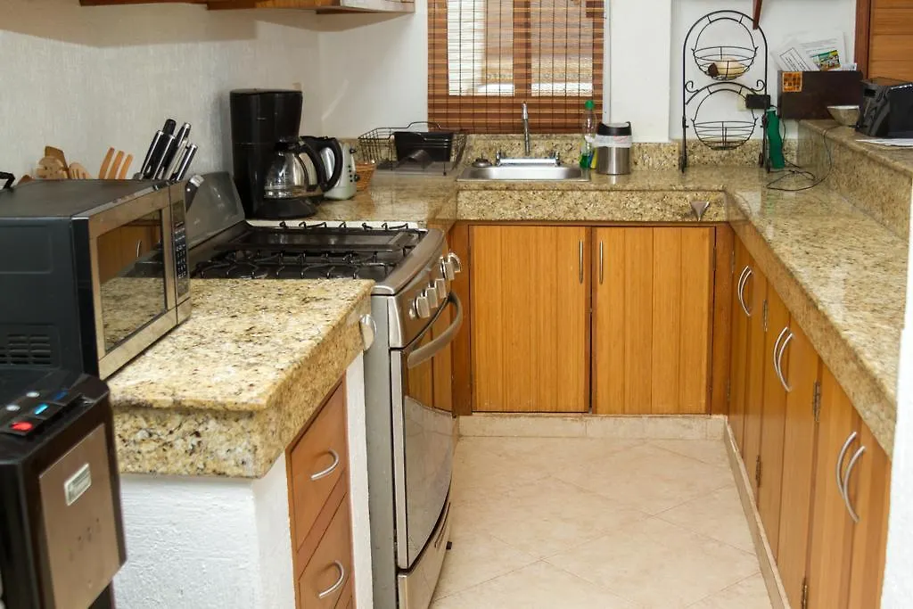 Magic Penthouse With Jacuzzi Διαμέρισμα Πλάγια Ντελ Κάρμεν