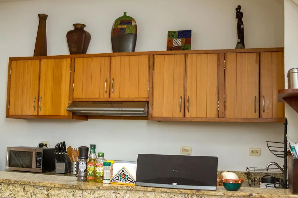 Magic Penthouse With Jacuzzi Διαμέρισμα Πλάγια Ντελ Κάρμεν